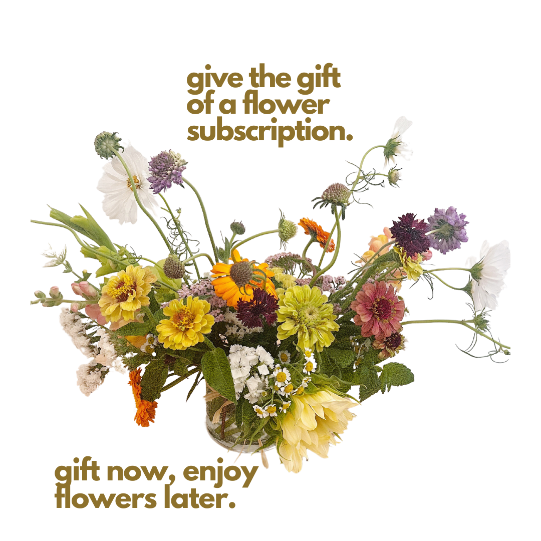 Fresh Flower Subscription for the Home