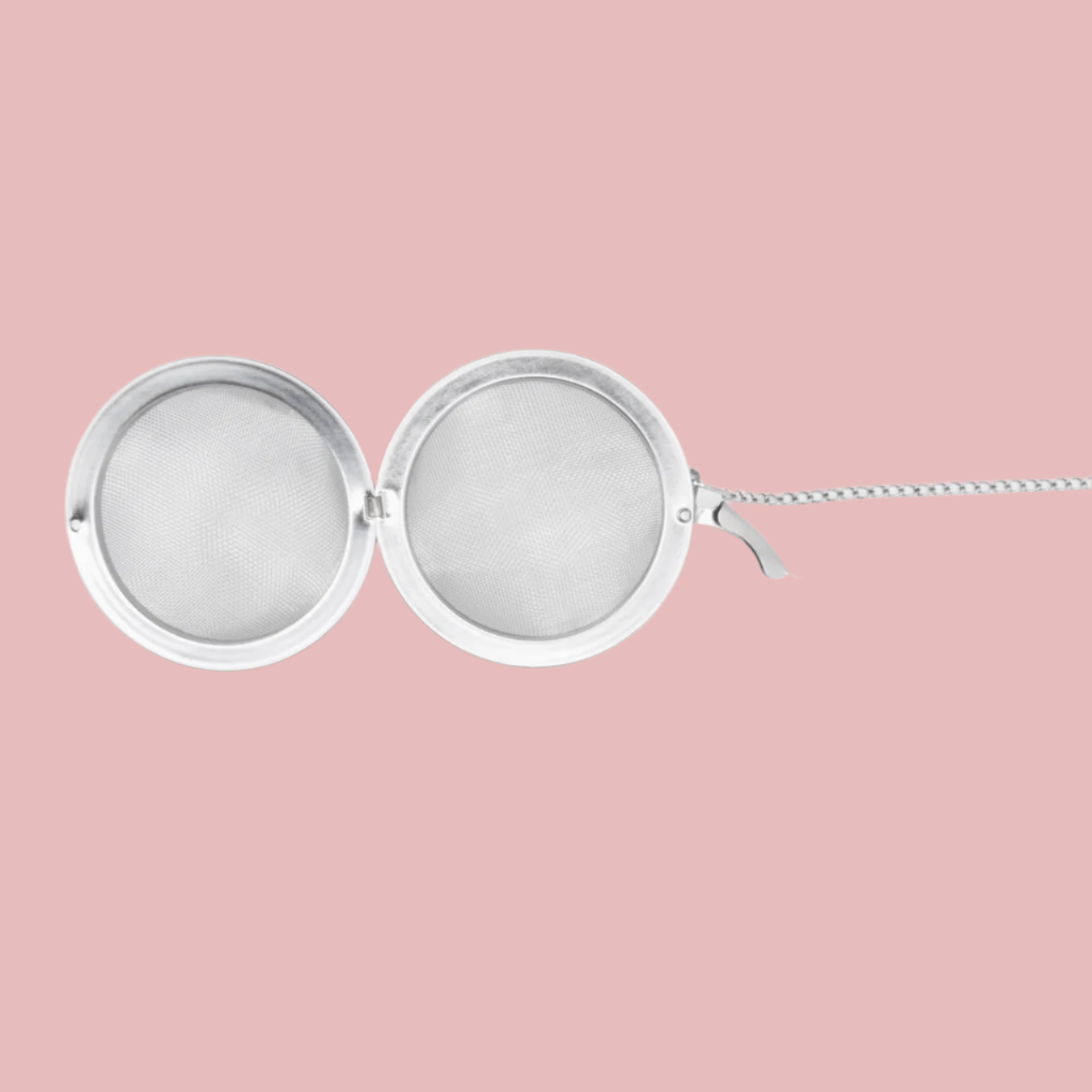 Mesh Tea Ball