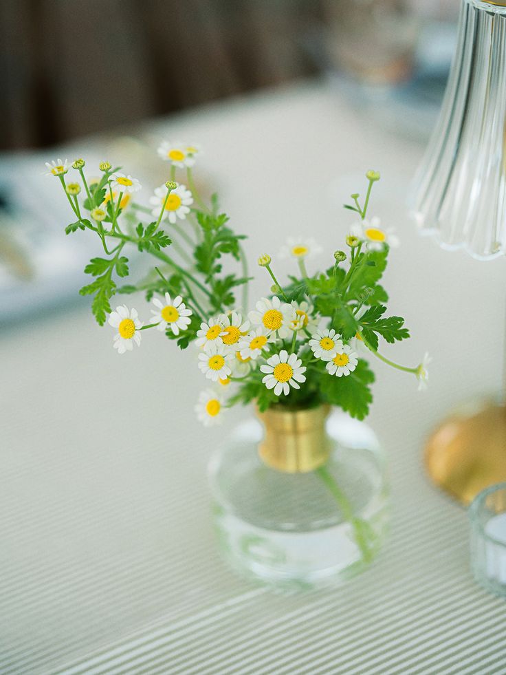 Chamomile_in_Glass_Bud_Vases.jpg