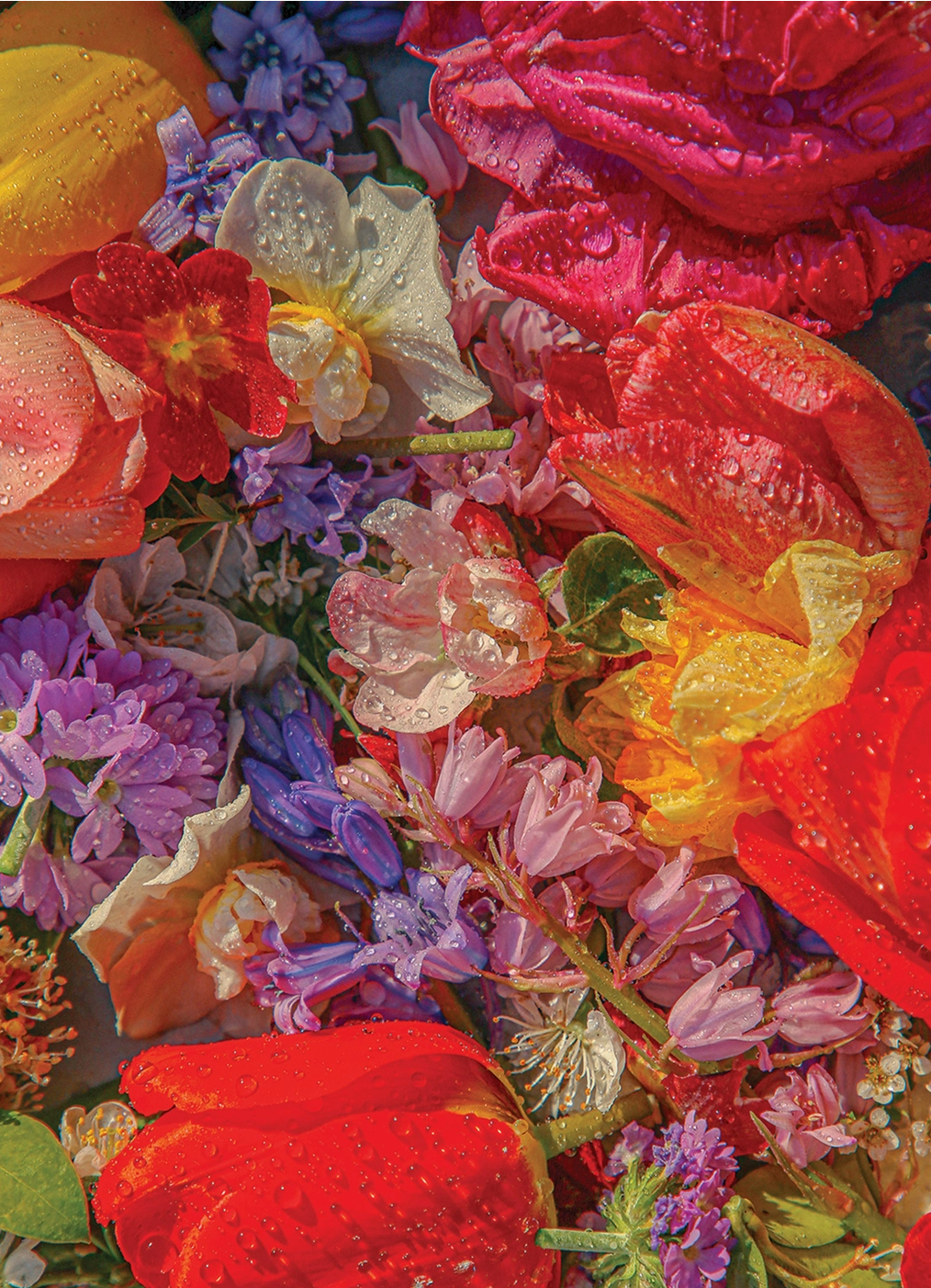 Blossom 1000 Piece Puzzle