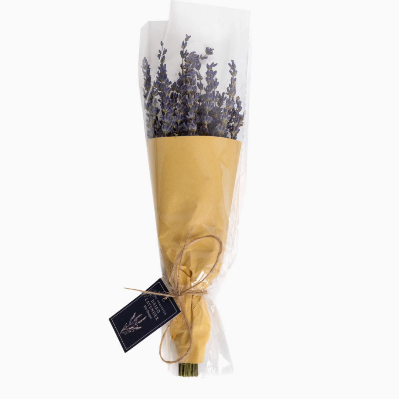 Dried_lavender.png