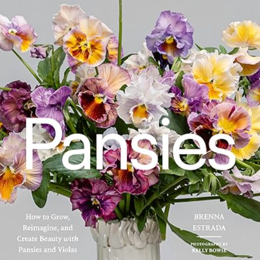 Pansies.png