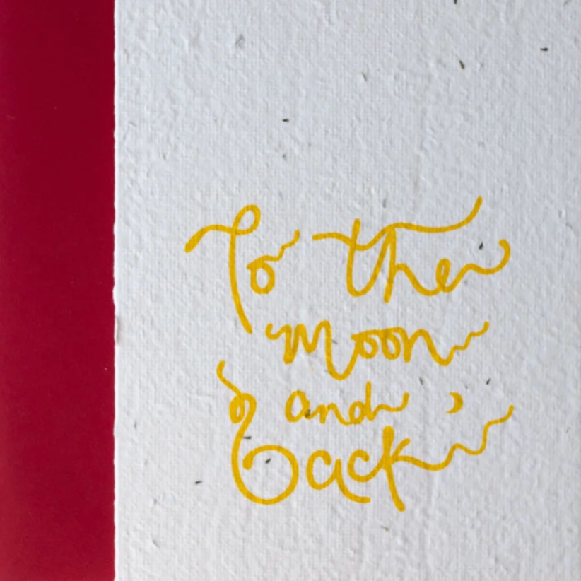 To The Moon And Back Seed Card