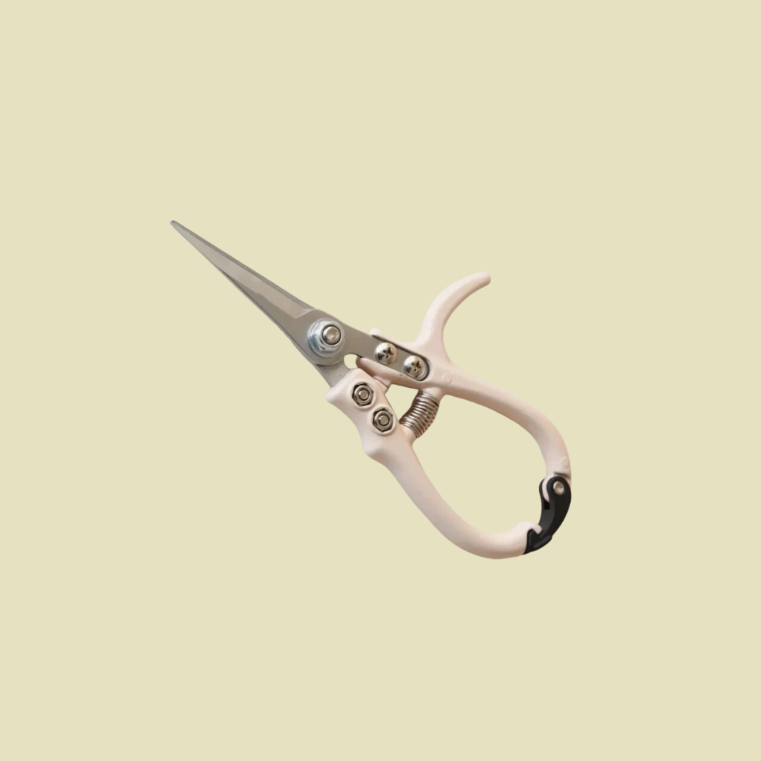 vanilla_scissor.png