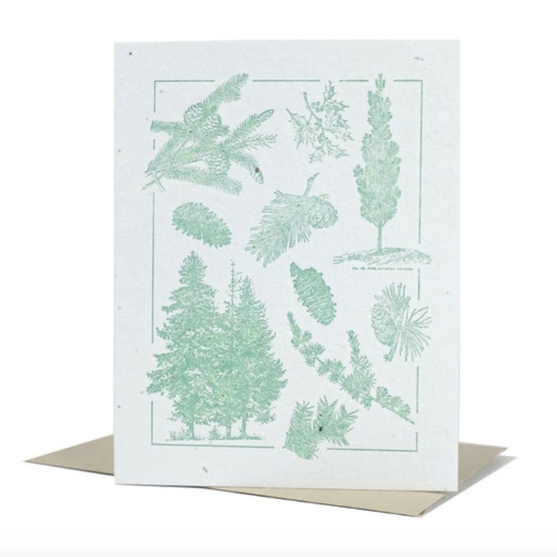 Plantable Letterpress Greeting Card (Multiple Colors)